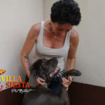 Villa Siesta - Meet the team - Joy