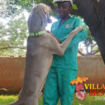 Villa Siesta - Meet the team - Lucky