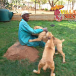 Villa Siesta - Meet the team - Kingdom