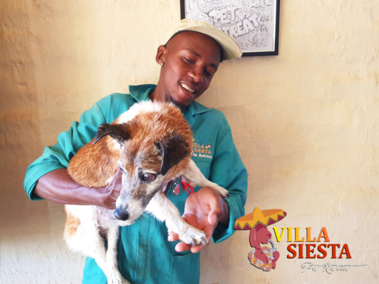 Villa Siesta - Meet the team - Kingdom