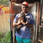 Villa Siesta Pet Retreat - The Team - Lucky