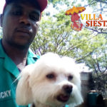 Villa Siesta Pet Retreat - Lucky