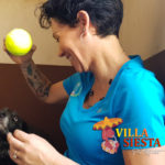 Villa Siesta - meet the team