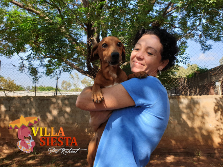 Villa Siesta Pet Retreat - Joy with happy dog
